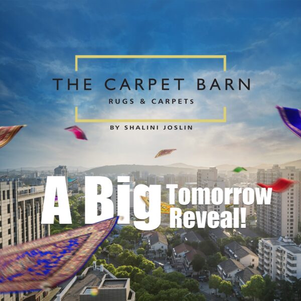 the_carpetbarn_466077293_18055523113915236_4686352732496219474_n